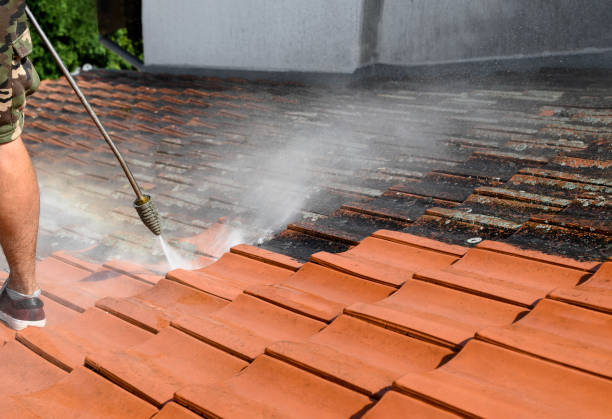 Best Local Pressure Washing Services  in Adamstown, MD